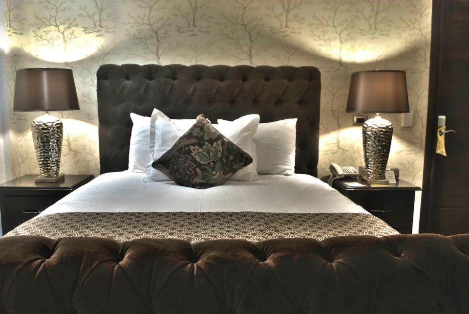Colombe Hotel Boutique Xalapa Dış mekan fotoğraf